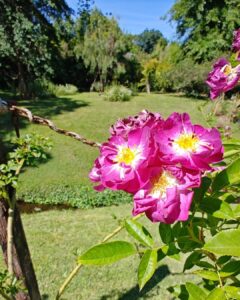 Jardines privados
