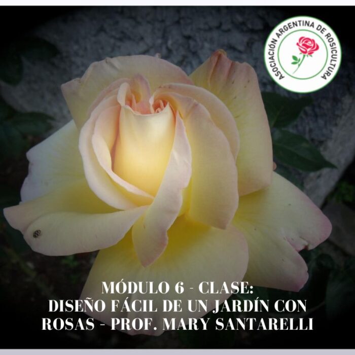 Módulo 5 Paisajismo - Clase: Diseño fácil de un jardín con Rosas