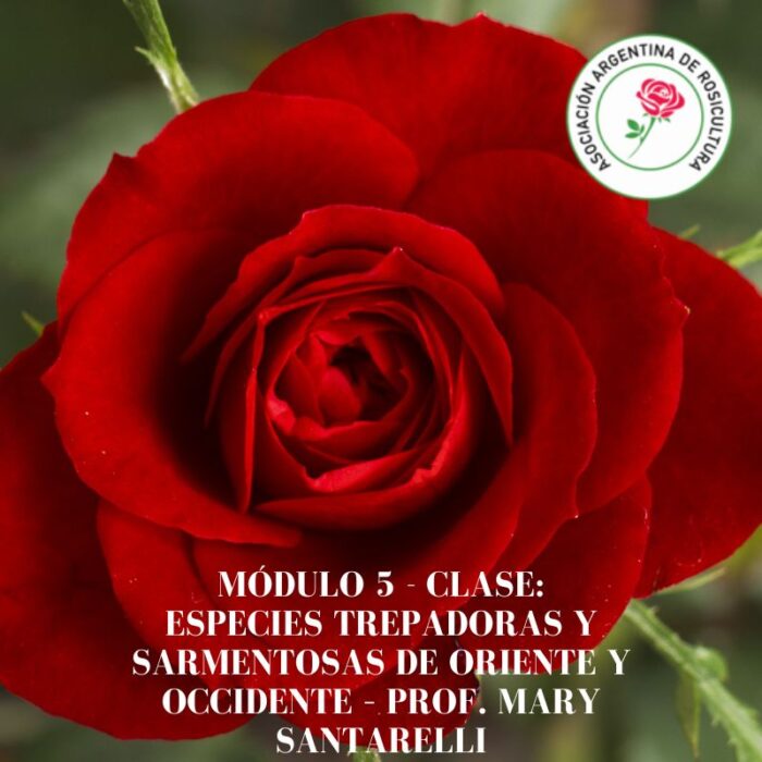 Módulo 5 - Clase: Especies trepadoras y sarmentosas de Oriente y Occidente