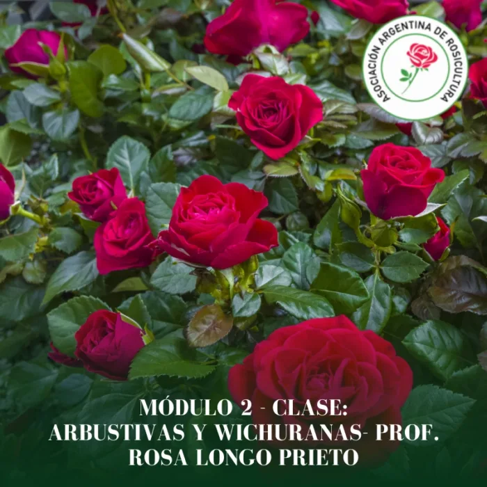 Módulo 2 - Clase: Arbustivas y Wichuranas