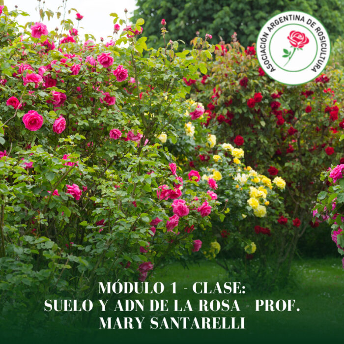 Módulo 1 - Clase: Suelo y ADN de la Rosa