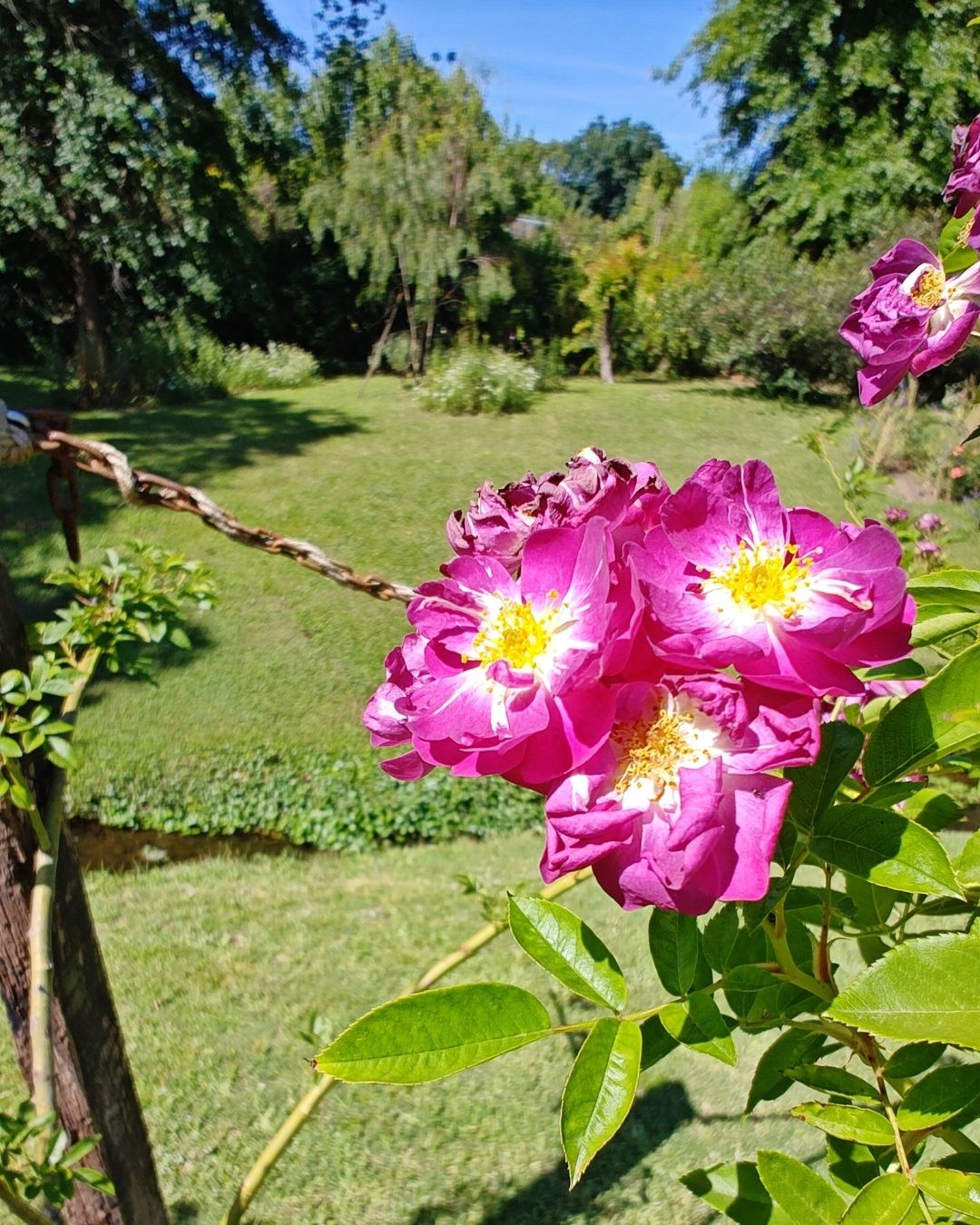 Jardines privados Jardines privados